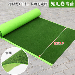 仿真草坪青苔人工草假藓