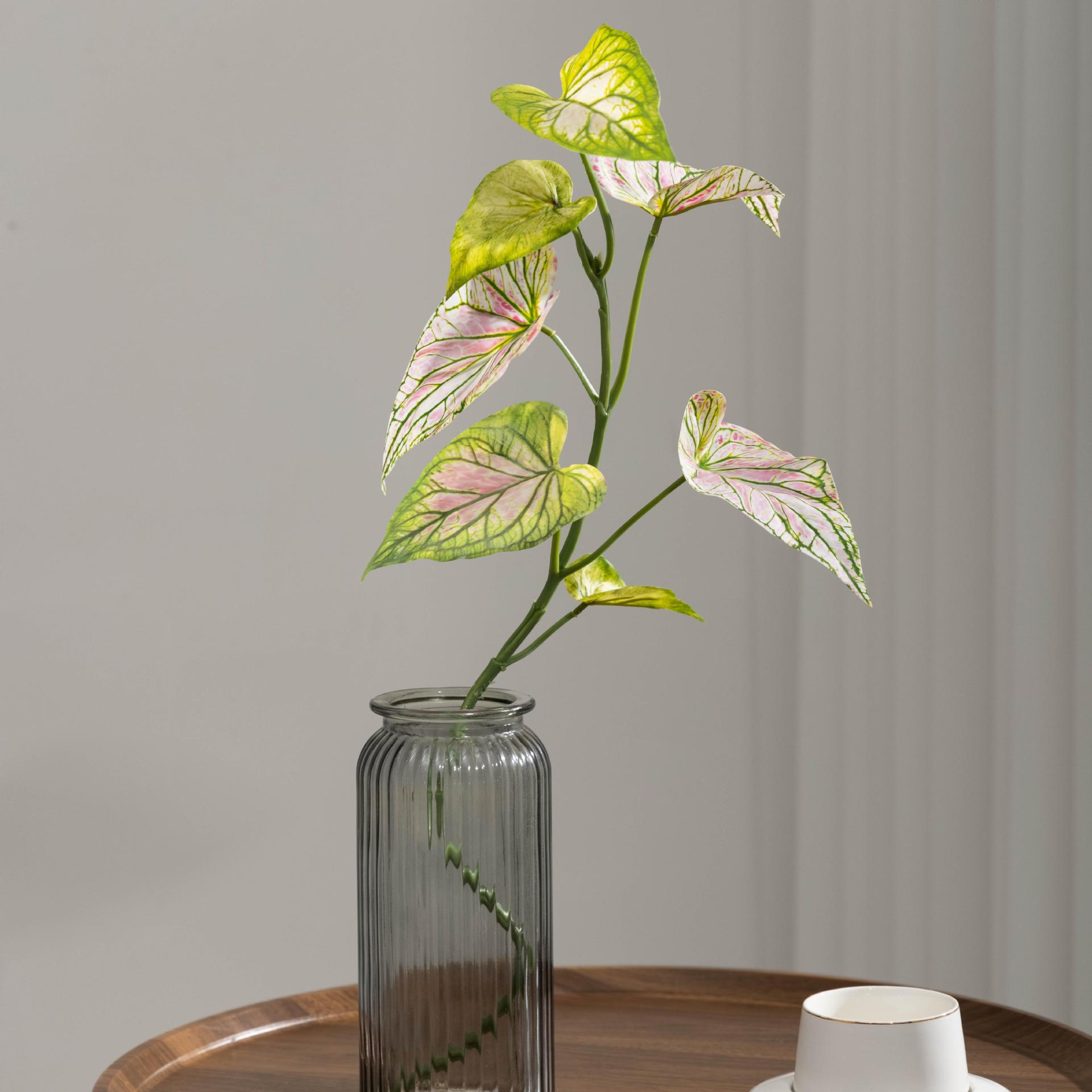 仿真植物造景3D彩芋叶紫