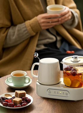 新款多功能养生壶双炉杯