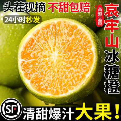 【5A品质】正宗哀牢山冰糖橙纯甜