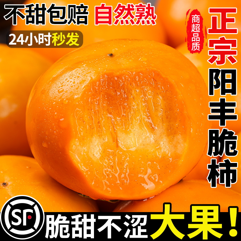 【5A品质】正宗阳丰脆柿产地直发