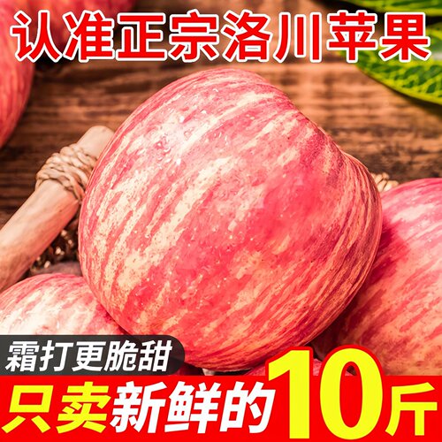 【6A品质】正宗洛川苹果产地直发