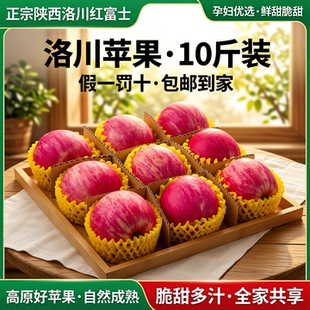 正宗陕西洛川苹果新红富士孕妇水果鲜甜脆甜产地直发假一罚十包邮