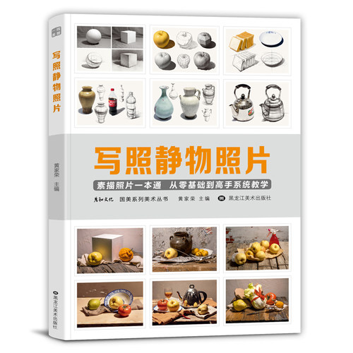 写照素描静物照片书临摹素材写生图片美术实物教材对画构图单体组合几何体石膏五官头像陶罐蔬果艺考高联考美院范画图库高清图册