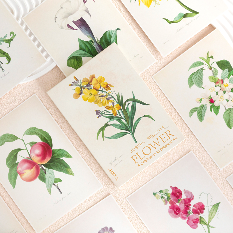 高清大尺寸明信片学习临摹卡