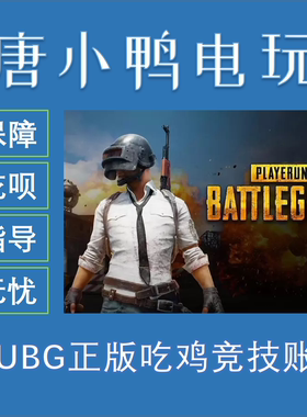 steam绝地求生plus竞技号