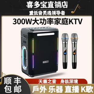 1981蓝牙音箱300W大家庭K歌户外直播广场舞音响功率 喜多宝xdobo