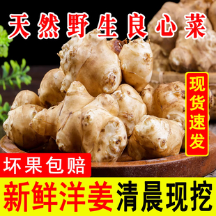 洋姜新鲜现挖农家自种10斤咸菜无添加酱菜的功效与作用官方旗舰店