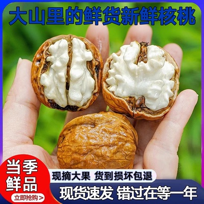 大别山云南鲜核桃2025新货去青皮