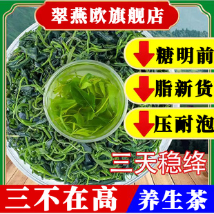 贵州野生一级小叶苦丁茶压糖脂降大血叶官方旗舰店正品有什么功效