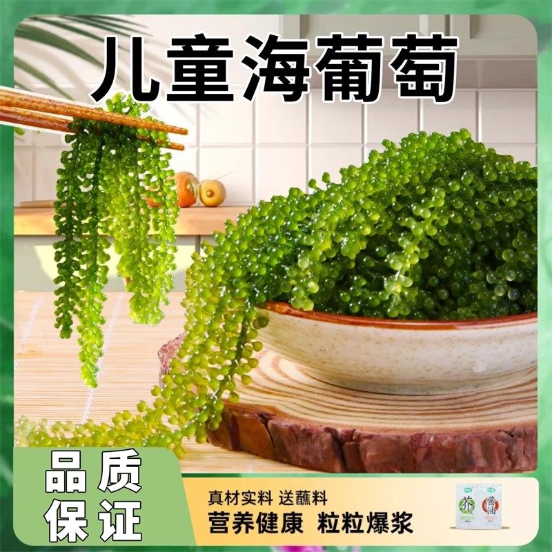 儿童海葡萄开袋即食新鲜绿色爆珠干货凉拌菜健康零食官方旗舰店,零食/坚果/特产,海带零食,淘宝优惠券,粉丝福利购,淘宝优惠卷