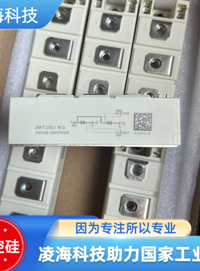 晶闸管可控硅JSKT250/16D 定制