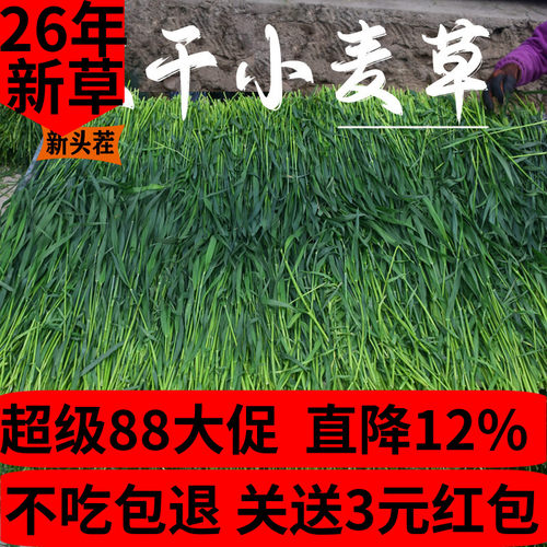 新烘干小麦草兔子荷兰猪龙猫干草