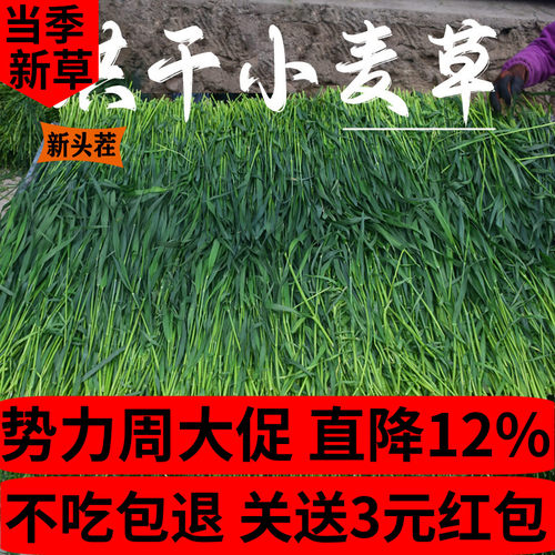 新烘干小麦草兔子荷兰猪龙猫干草