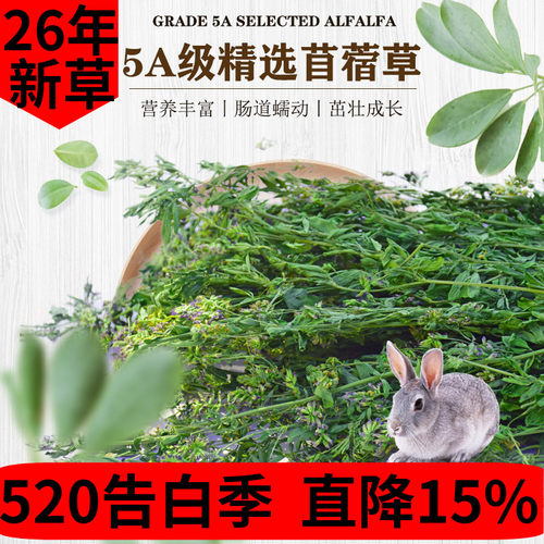 兔友圈强推新草叶绿杆细小宠优选
