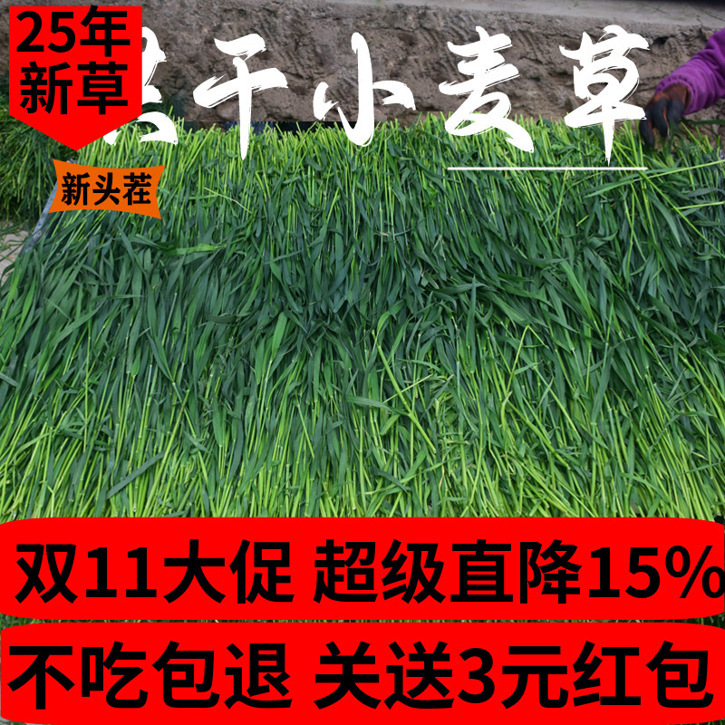 新烘干小麦草兔子荷兰猪龙猫干草