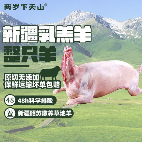 新疆羔羊整只28斤烤全羊礼盒