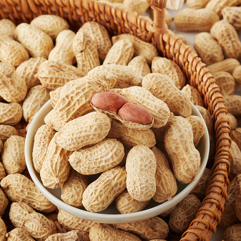 蒜香五香吊炉花生500g咸干花生蒜蓉味带壳红皮花生炒货袋装零食