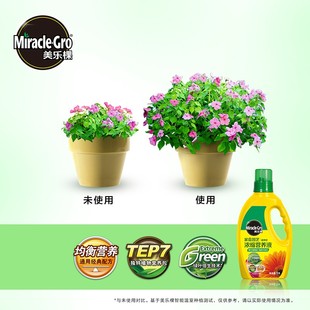 美乐棵植物浓缩营养液通用型液体肥花卉多肉绿萝绿植多肉 园艺荟