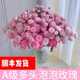 精选A级多头泡泡玫瑰鲜花云南鲜花昆明基地直发顺丰日常水养鲜切