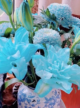 A级蓝美人蓝色重瓣香水百合鲜花云南直发鲜花鲜切花同城速递年宵