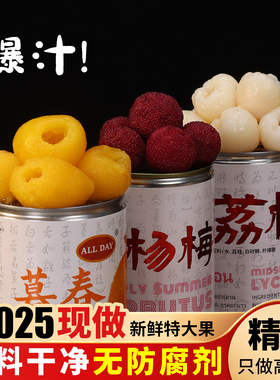 【旗舰店】【精品大果】水果罐头荔枝杨梅枇杷鲜果现发新鲜无防腐