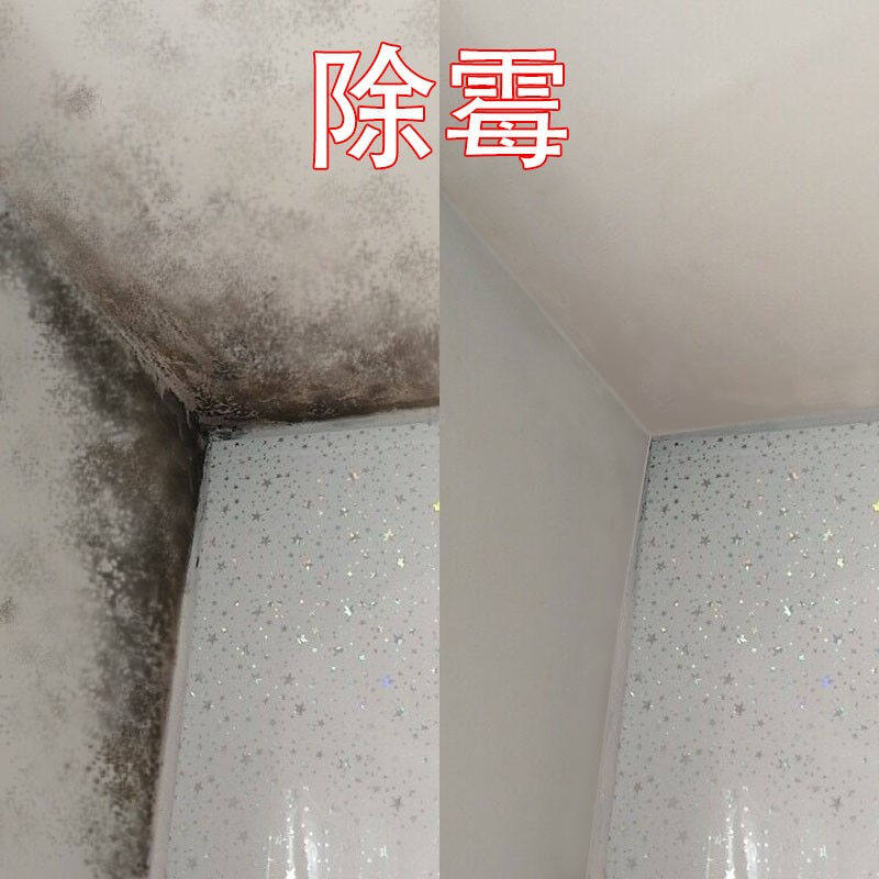 美瓷嘉除霉剂白墙面墙体墙壁除霉去污霉斑清除剂家具防发霉