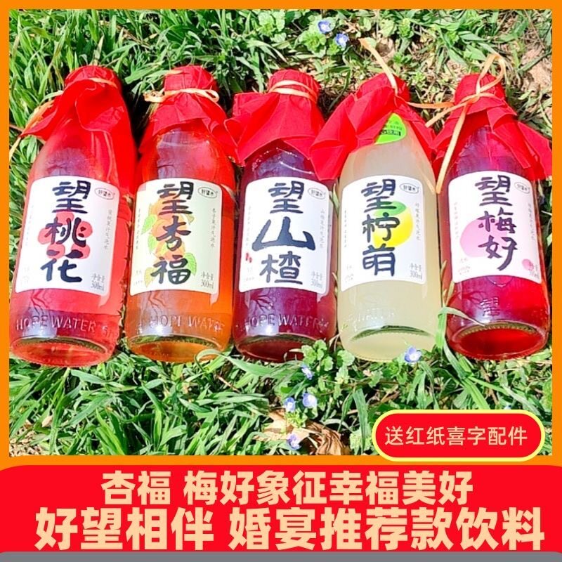 山楂杏福梅好橙功6瓶饮料