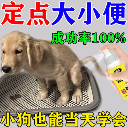 【当天学会】狗狗上厕所定点排便诱导剂训练狗大小便定点防治乱尿