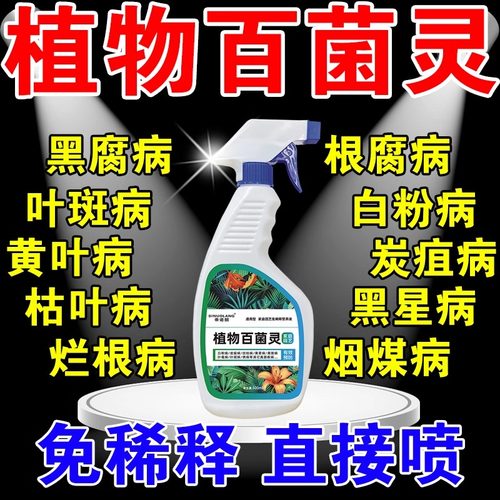 多菌菌灵杀菌剂花卉植物生根粉兰花月季黑斑病专用药百菌通用喷雾