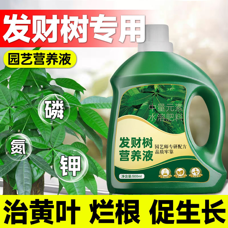 发财树专用营养液黄叶枯叶烂根肥料专用肥盆栽室内叶面肥