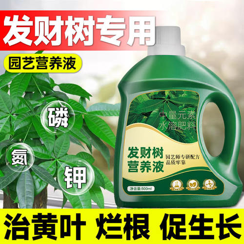发财树专用营养液黄叶枯叶烂根肥料专用肥盆栽室内叶面肥