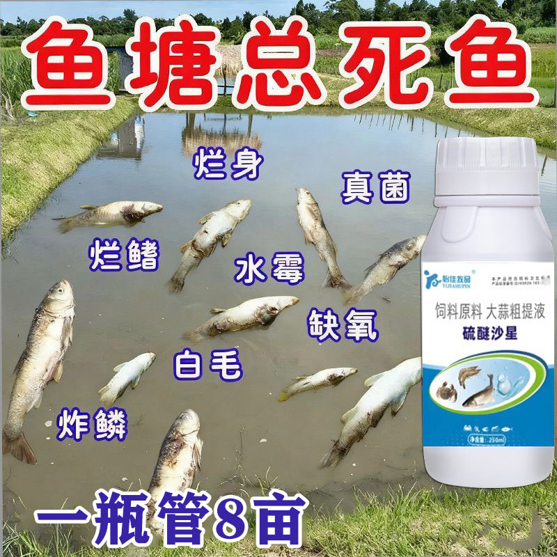 硫醚沙星鱼塘专用水产养殖杀菌消毒腐皮出血烂身停白毛病水霉净