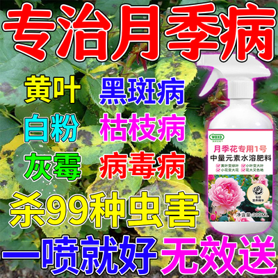 月季花病虫害治疗预防专用药