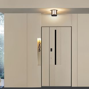 爆款厂家热卖一门一景极简风格精雕铸铝门装甲门防盗门入户门大门