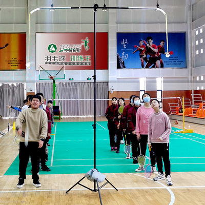艾羽菲斯羽毛球训练王 成人羽毛球定位定向儿童训练挥拍教练教具