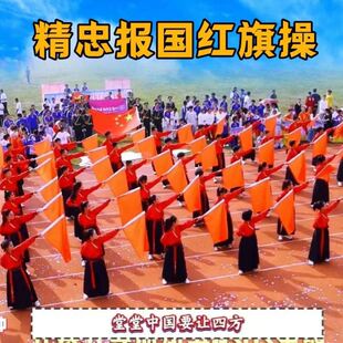 精忠报国儿童演出服中小学生运动会创意入场红旗舞校运会开幕表演