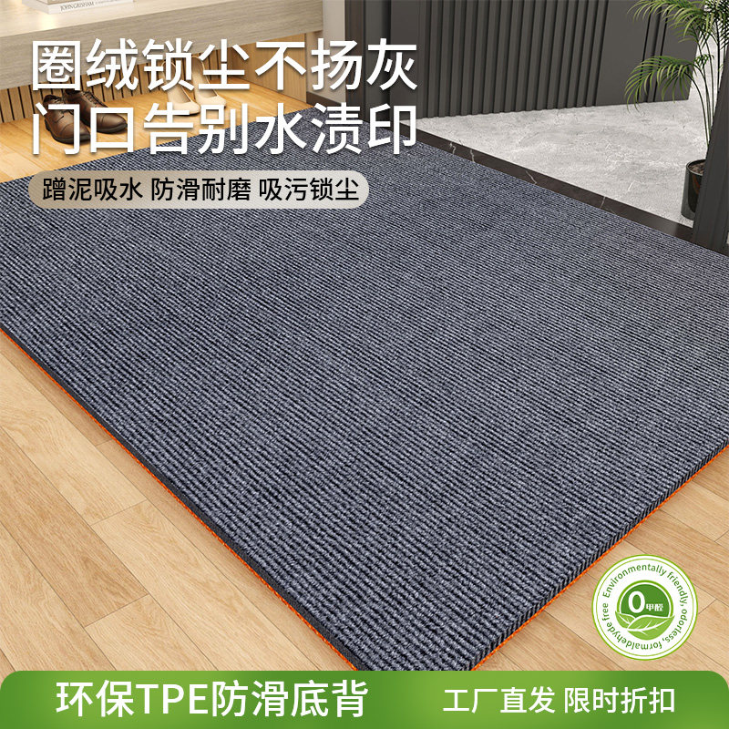 家用进门地垫门口防滑耐脏室内玄关脚垫高级感可擦免洗入户门垫子