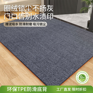 家用进门地垫门口防滑耐脏室内玄关脚垫高级感可擦免洗入户门垫子