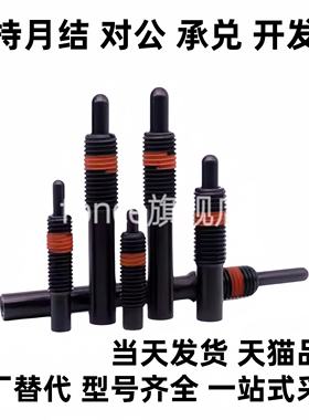 轻载型弹簧柱塞 PJL3/4/5/6/8/10/12-1.5/2/3/4/5/10/15/20