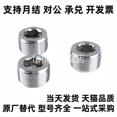 不锈钢带密封涂层型锥型沉头螺塞 堵头 MSWTSK J S 1 2 3 4 6 8