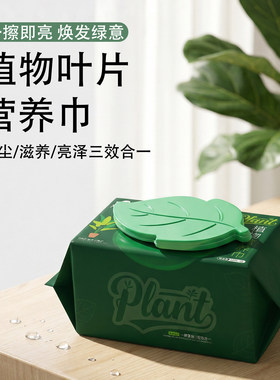 植物叶片清洁湿巾除尘增亮