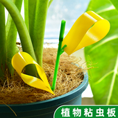 双面粘虫板园艺花卉诱虫纸果蝇蓟马白粉虱小黑飞诱捕器蝇蜂防虫片