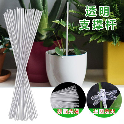 标本固定手办支撑植物杆