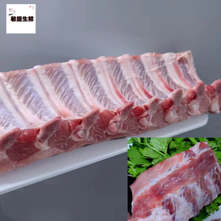 排骨20斤新鲜背排 猪寸排 猪肋排 猪仔排 精修猪排骨 商用