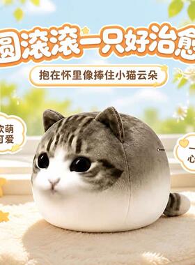 【现货】 妙脆角小猫网红搞笑棉花娃娃玩偶二创立体抱枕
