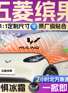 五菱缤果汽车前挡遮雪挡罩宾果防雪防霜防冻布前挡风玻璃车衣车罩