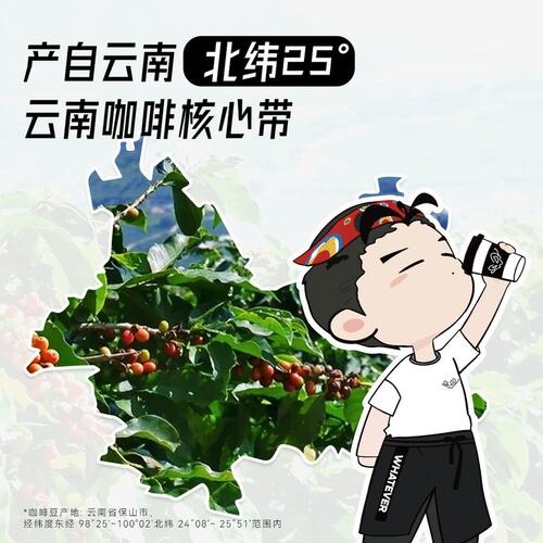 【吴彦祖咖啡】WHATEVER 云南小粒金奖速溶美式黑咖啡冷热双泡