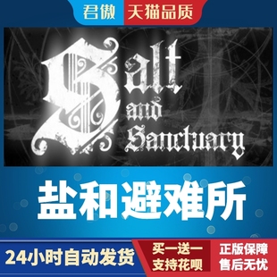 Steam PC正版 游戏 盐和避难所 Salt and Sanctuary 君傲数码