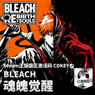 Steam正版 Souls Rebirth 入库BLEACH 死神 魂魄觉醒全DLC激活码